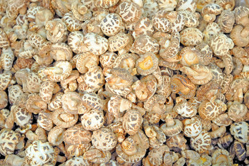 Hong Kong dry fish market  mushrooms