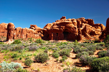 Sunny day in Arches Canyon. Utah. USA