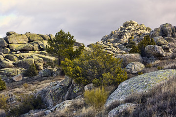 Sierra de la Cabrera. Madrid