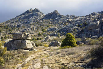 Sierra de la Cabrera. Madrid