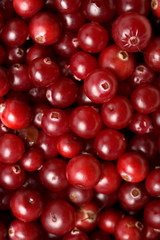 red cranberries background