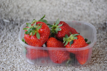 fragole
