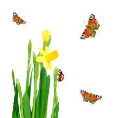 Peel and stick wall murals Ladybugs spring meadow