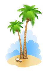 Palm tree