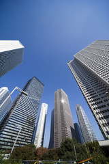 Fototapeta premium skyscraper