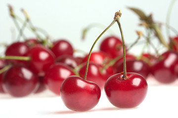 cherries on white background