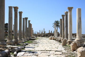 Tyre Roman Columns, Lebanon