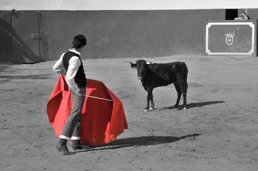 Printed roller blinds Bullfighting la capea