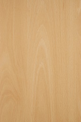 Wooden texture