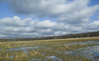 The meadow under a water.