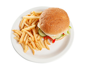 Hamburger and fries - 21908150