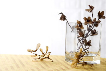 herbstliche innendeko mit trockenblumen
