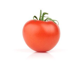 fresh tomato