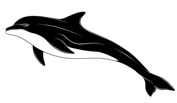 black and white dolphin swimming on white clip art preview