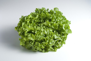 green salad (Grüner Salat, Novita)