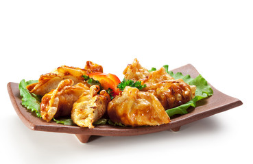 Japanese Cuisine - Meat Dumplings