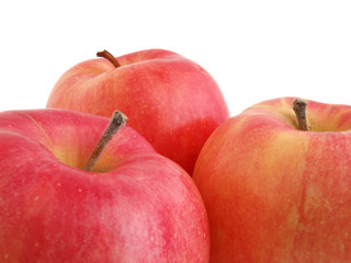 Apples on white background