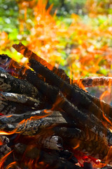 Obraz na płótnie Canvas close-up of fire