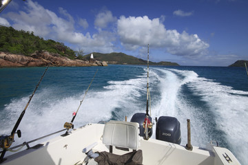 pesca traina seychelles