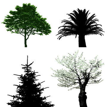 trees - vector collection