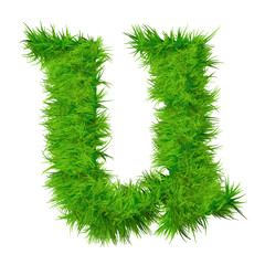 High resolution green grass font isolated o white