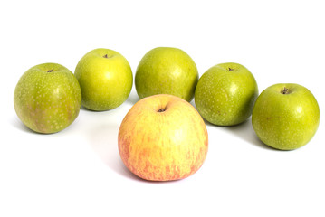 Apples
