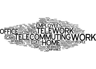 Telecommuting / Telework