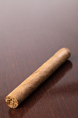 the cuban cigar
