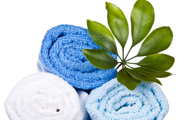 Obraz na płótnie Canvas white and blue towels with plant