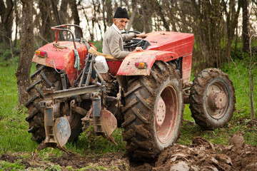Old farmer plowing