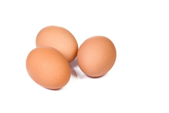 eggs at white background