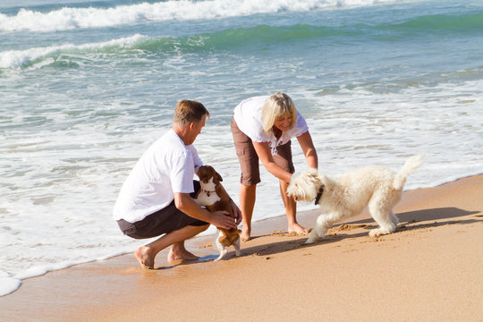 Happy Couple With Pets On Beach