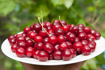 tasty cherries