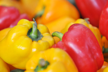 Paprika