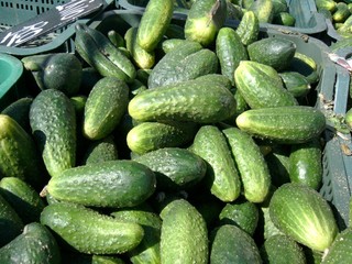 Cucumbers on the market