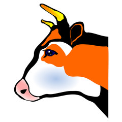 cow head eps10 color