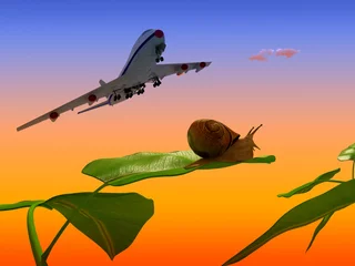 Peel and stick wall murals Aircraft, balloon The  plane