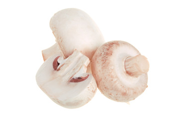 Fototapeta premium Fresh white champignons