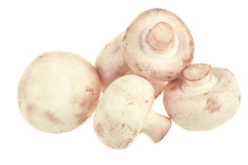 Fresh white champignons