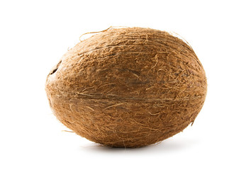 Coconut isolated on the white background