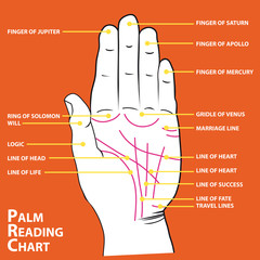 Palmistry map of the palm's main lines vector illustration