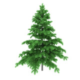 "Perfect transparent six Pine trees vectors" Stock image and royalty