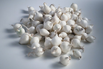 Onions (Perlzwiebeln)