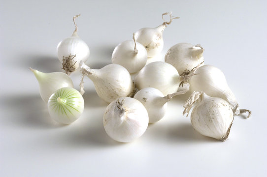 Onions (Perlzwiebeln)