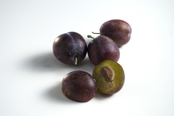 plums (Pflaumensorte Späte Anna)