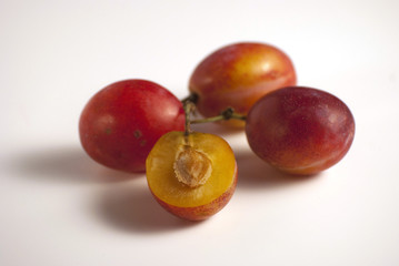 Red Plum (Rote Pflaume)