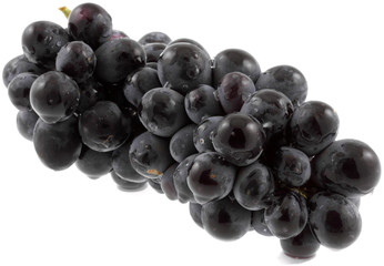 grappe raisin noir, fond blanc
