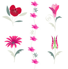 floral, flower elements