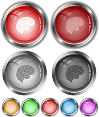 Brain. Vector internet buttons.