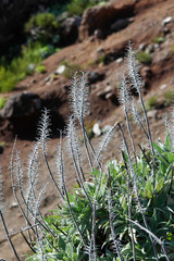 Rince-bouteille au Pico do Arieiro à Madère